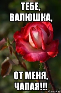 тебе, валюшка, от меня, чапая!!!
