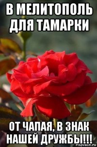 в мелитополь для тамарки от чапая, в знак нашей дружбы!!!