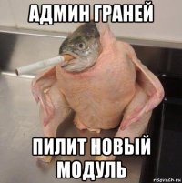 админ граней пилит новый модуль