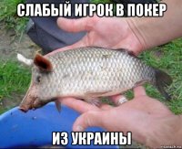 слабый игрок в покер из украины