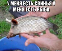 у меня есть свинья у меня есть рыба 