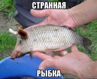странная рыбка
