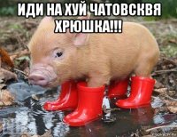 иди на хуй чатовсквя хрюшка!!! 