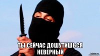  ты сейчас дошутишься неверный