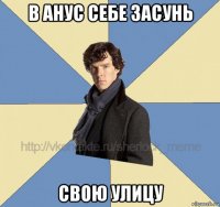 в анус себе засунь свою улицу