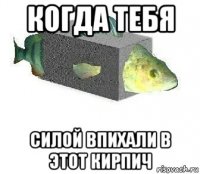когда тебя силой впихали в этот кирпич
