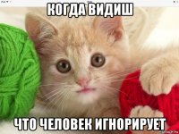 когда видиш что человек игнорирует