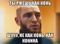 ты ржешь как конь шучу, не как конь, как конина