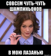 совсем чуть-чуть шампиньонов в мою лазанью