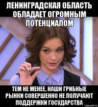 ленинградская область обладает огромным потенциалом тем не менее, наши грибные рынки совершенно не получают поддержки государства