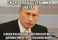 сидят блядь сутками в чатах и меня восхваляют но томская мразь должна умереть по законам жанра