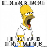 на контрольні роботі: цікаво а пташки живуть на місяці?