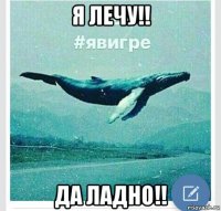 я лечу!! да ладно!!