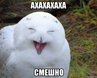 ахахахаха смешно