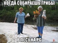 когда собираешь грибы в лесу на pg