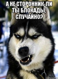 а не сторонник-ли ты блокады, случайно? 