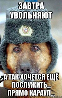 завтра увольняют а так хочется ещё послужить,,, прямо караул...