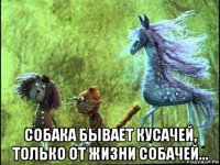  собака бывает кусачей, только от жизни собачей...