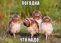 погодка что надо...