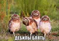  дебилы блять