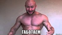  габотаем