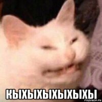  кыхыхыхыхыхы