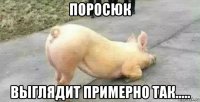 поросюк выглядит примерно так.....