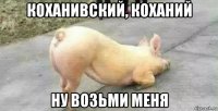 коханивский, коханий ну возьми меня