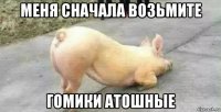 меня сначала возьмите гомики атошные