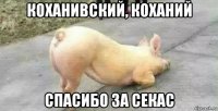 коханивский, коханий спасибо за секас