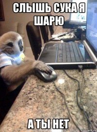 слышь сука я шарю а ты нет