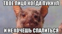 твое лицо когда пукнул и не хочешь спалиться
