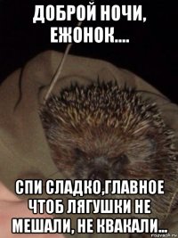 доброй ночи, ежонок.... спи сладко,главное чтоб лягушки не мешали, не квакали...