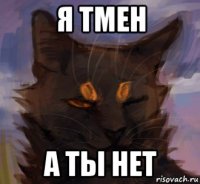 я тмен а ты нет