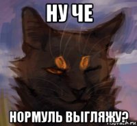 ну че нормуль выгляжу?