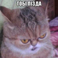 тобi пi3да 