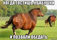 когда гостишь у бабушки и позвали обедать