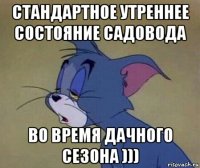 стандартное утреннее состояние садовода во время дачного сезона )))