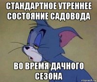 стандартное утреннее состояние садовода во время дачного сезона
