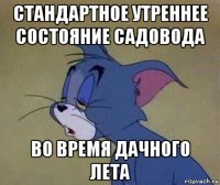 стандартное утреннее состояние садовода во время дачного лета