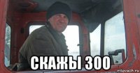  скажы 300
