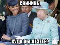 свинины куда вы лезете?
