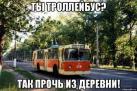 ты троллейбус? так прочь из деревни!