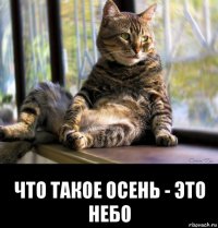  что такое осень - это небо