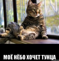  моё нёбо хочет тунца