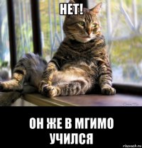 нет! он же в мгимо учился
