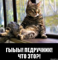  гыыы! педручник! что это?!