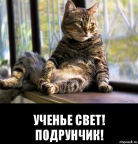  ученье свет! подрунчик!