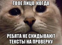 твое лицо, когда ребята не скидывают тексты на проверку