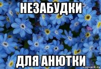 незабудки для анютки
